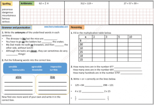 Year 3 FREE resources and worksheets