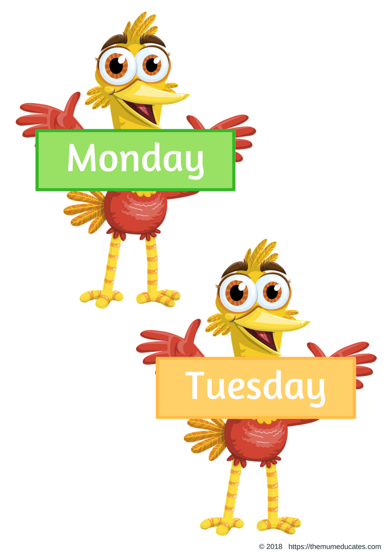 days-of-the-week-flashcards-poster-and-activities-the-mum-educates