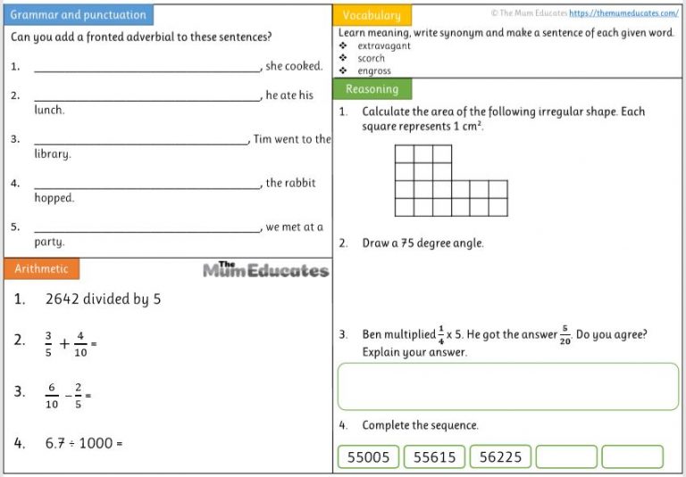 year 5 homework worksheets