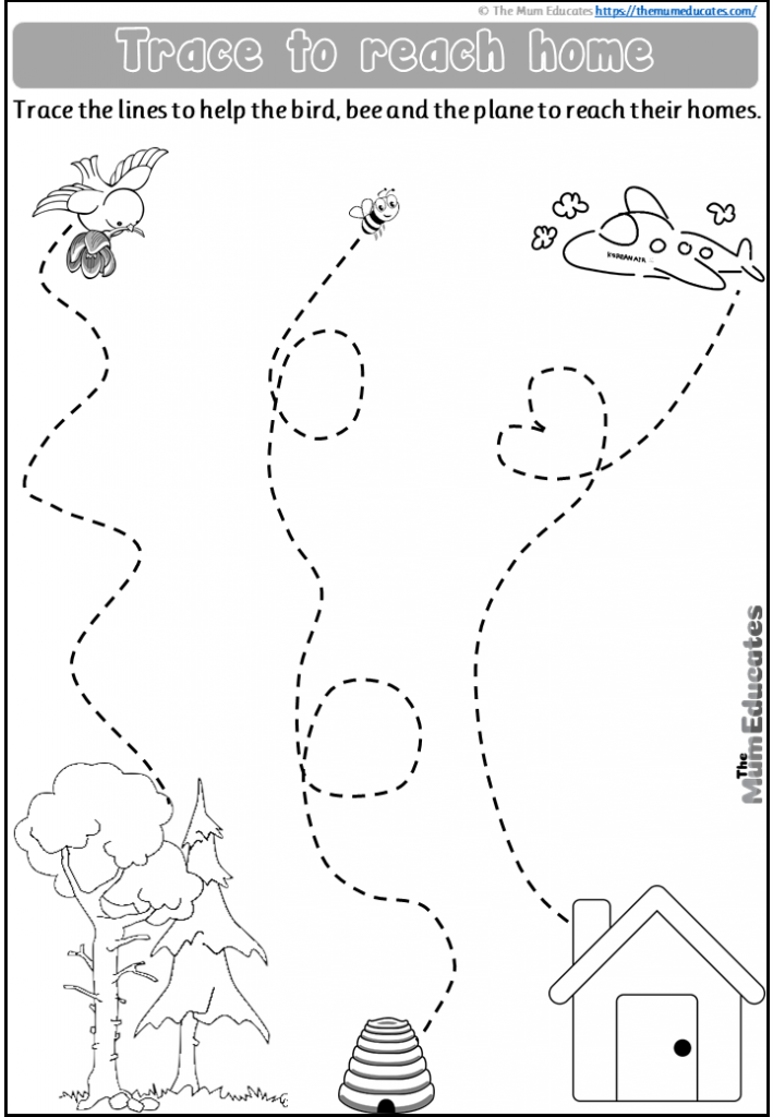 Pencil Control Tracing Workbook for Kids Graphic by YOOY