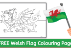 Welsh Flag Colouring | Flag of Wales | Wales flag coloring