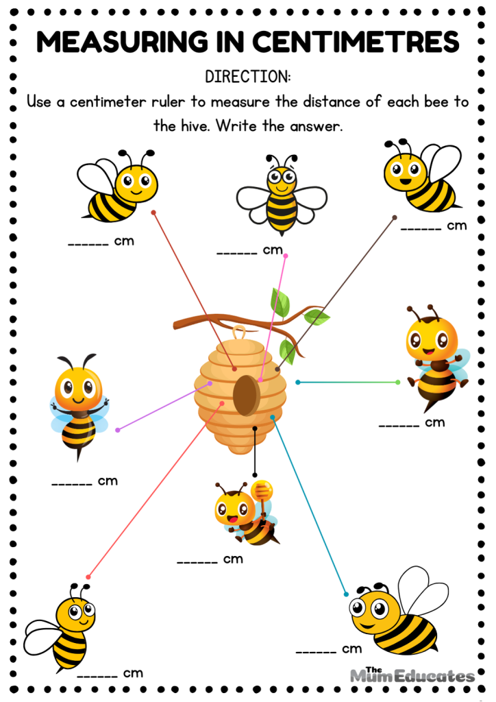 Centimetres and Metres worksheet