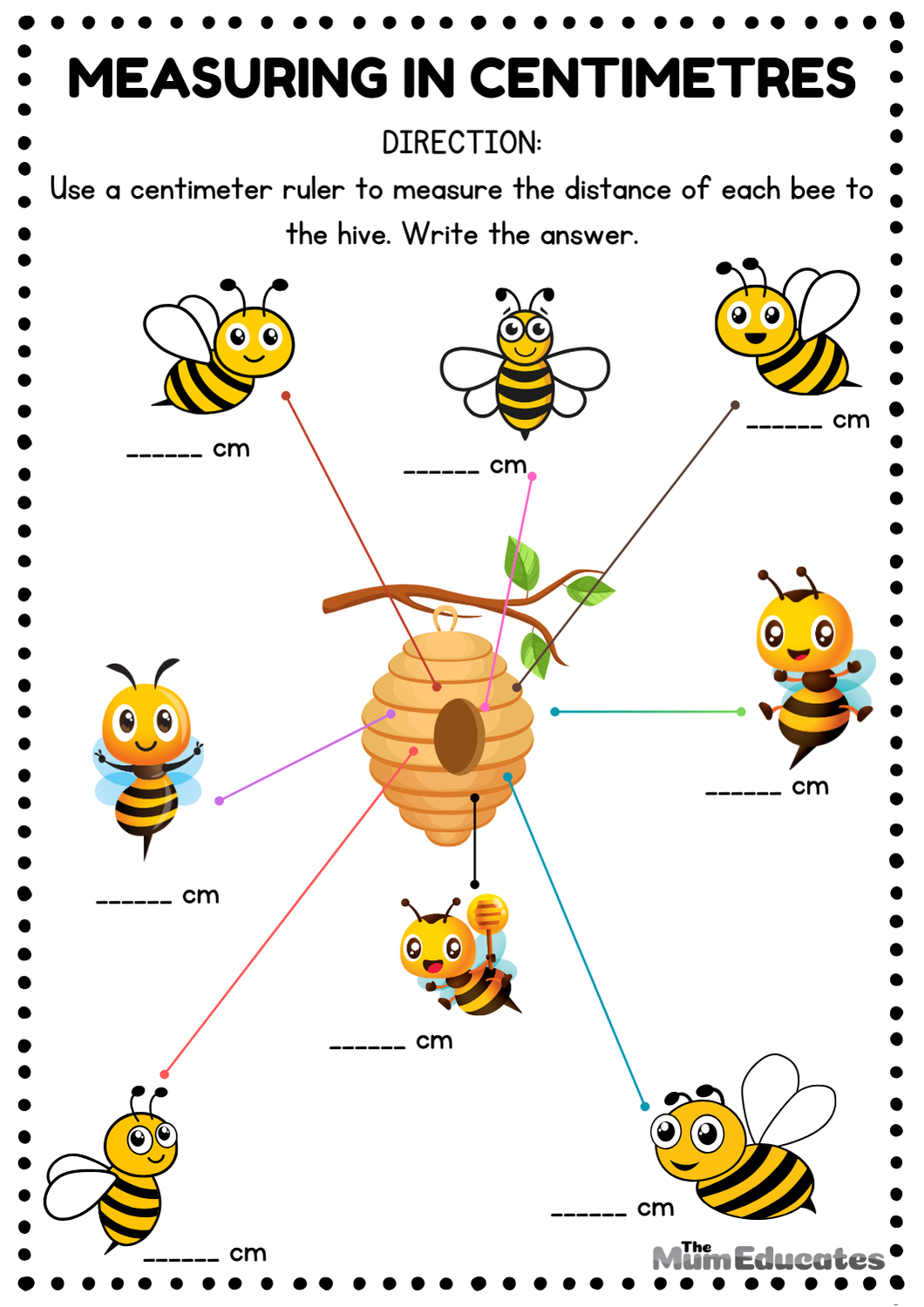 Centimetres and Metres Worksheets - FREE - The Mum Educates